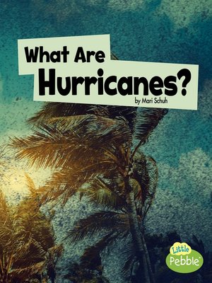 cover image of What Are Hurricanes?